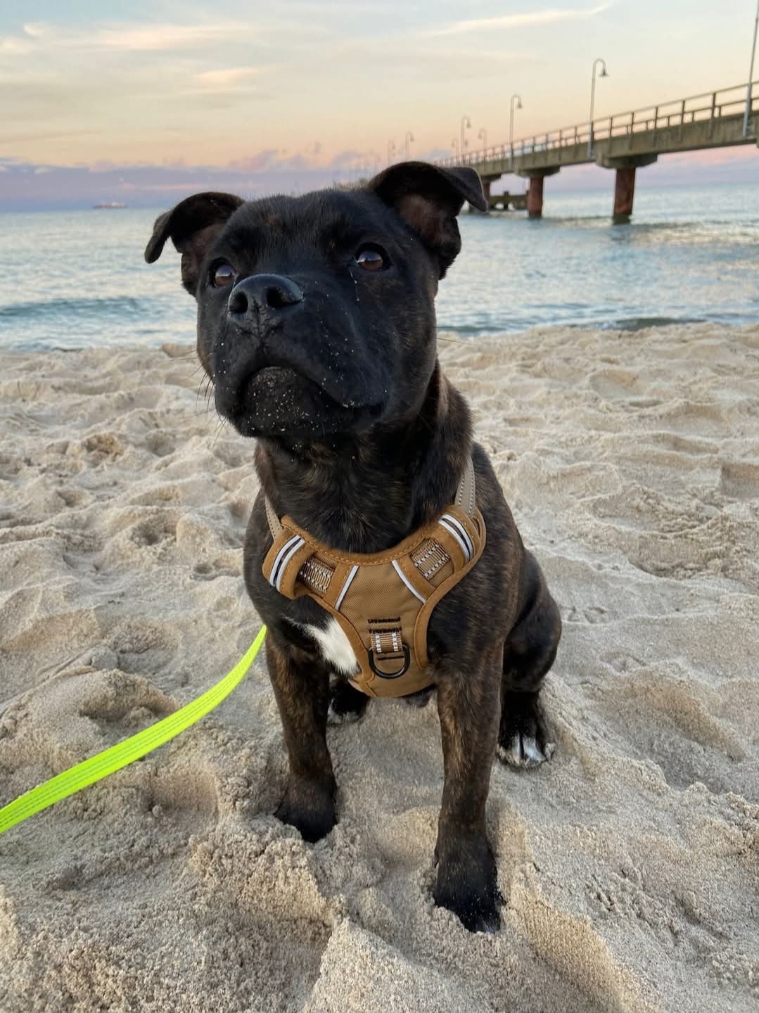 Willusa's Carl Erwin