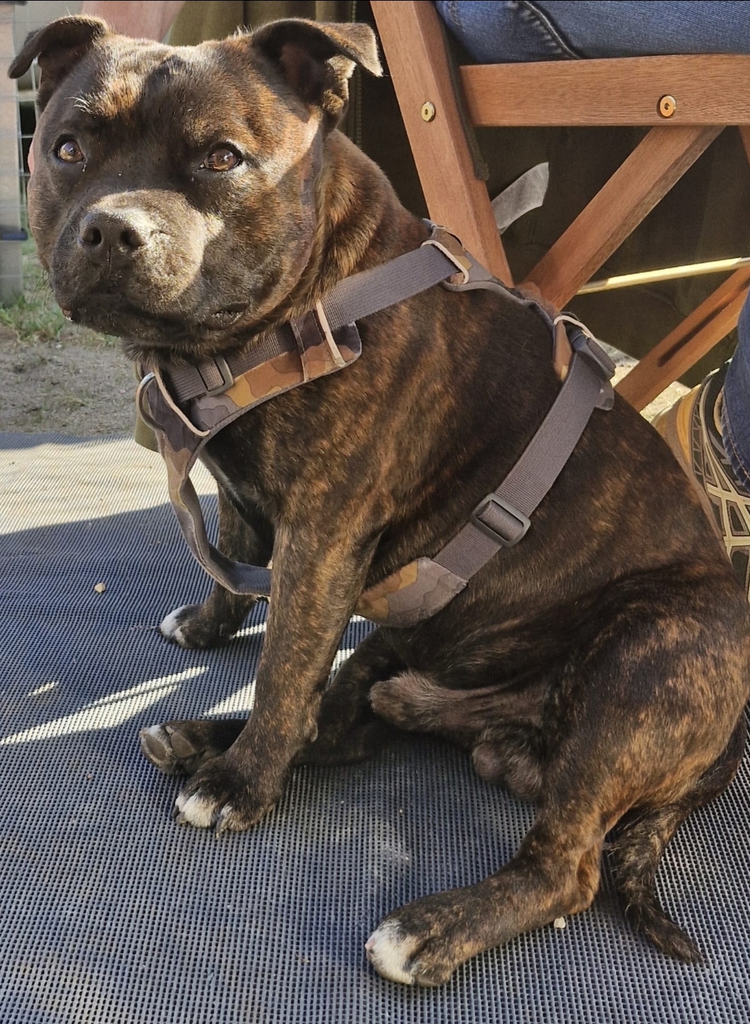 Willusa's Carl Erwin