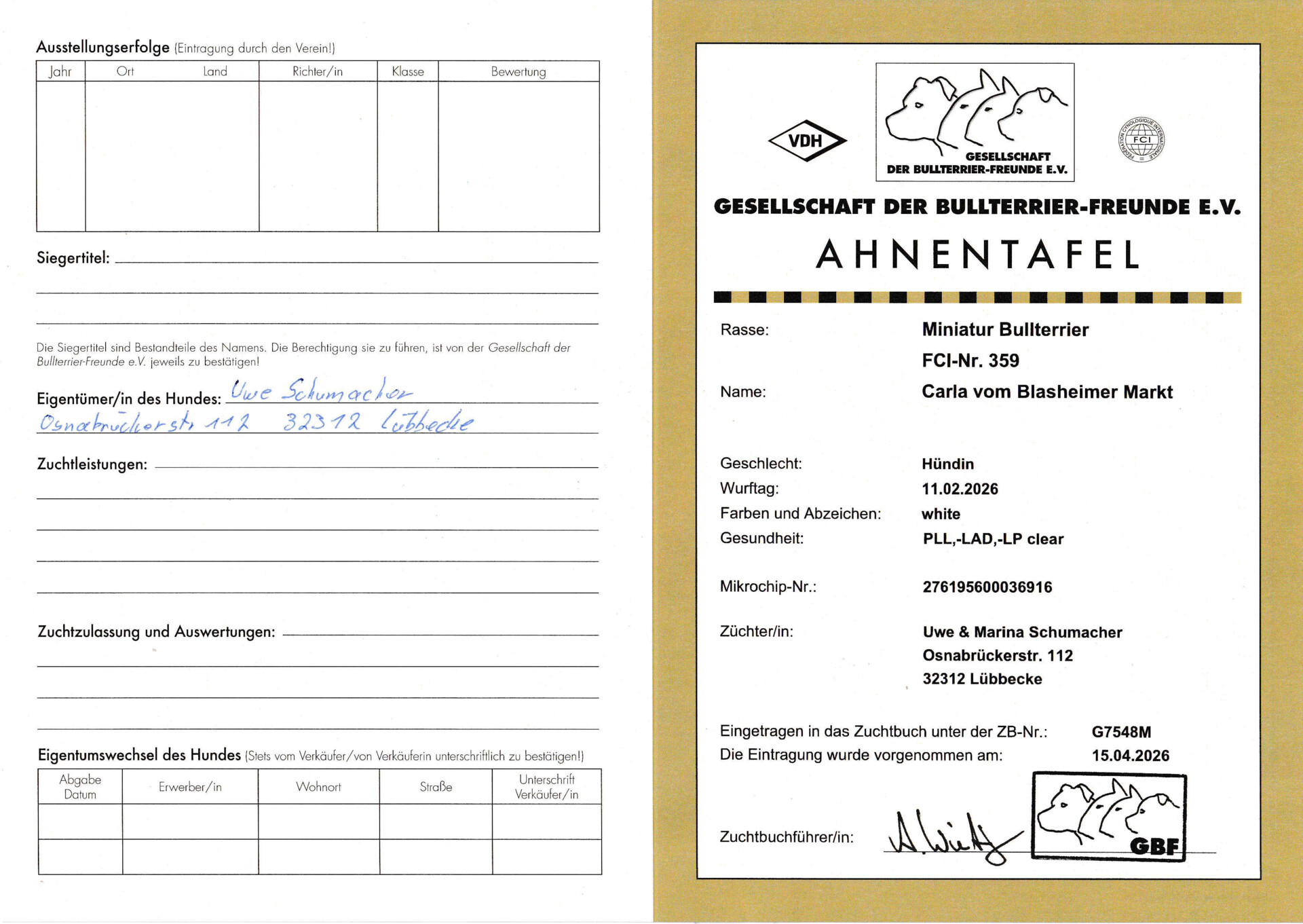 Stammbaum Seite 1