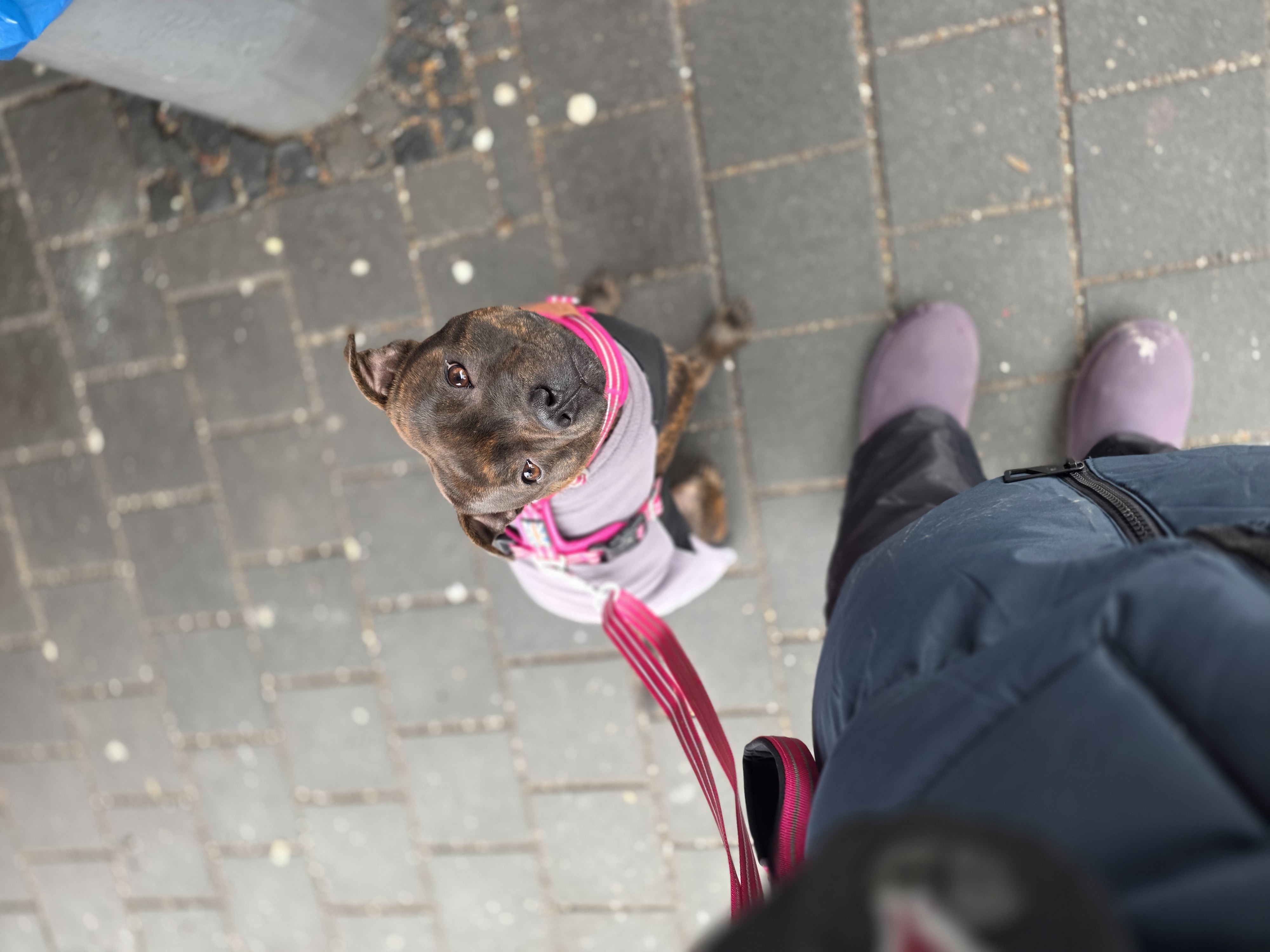 Ria / Willusa's Dreadnought Hellfire Ria