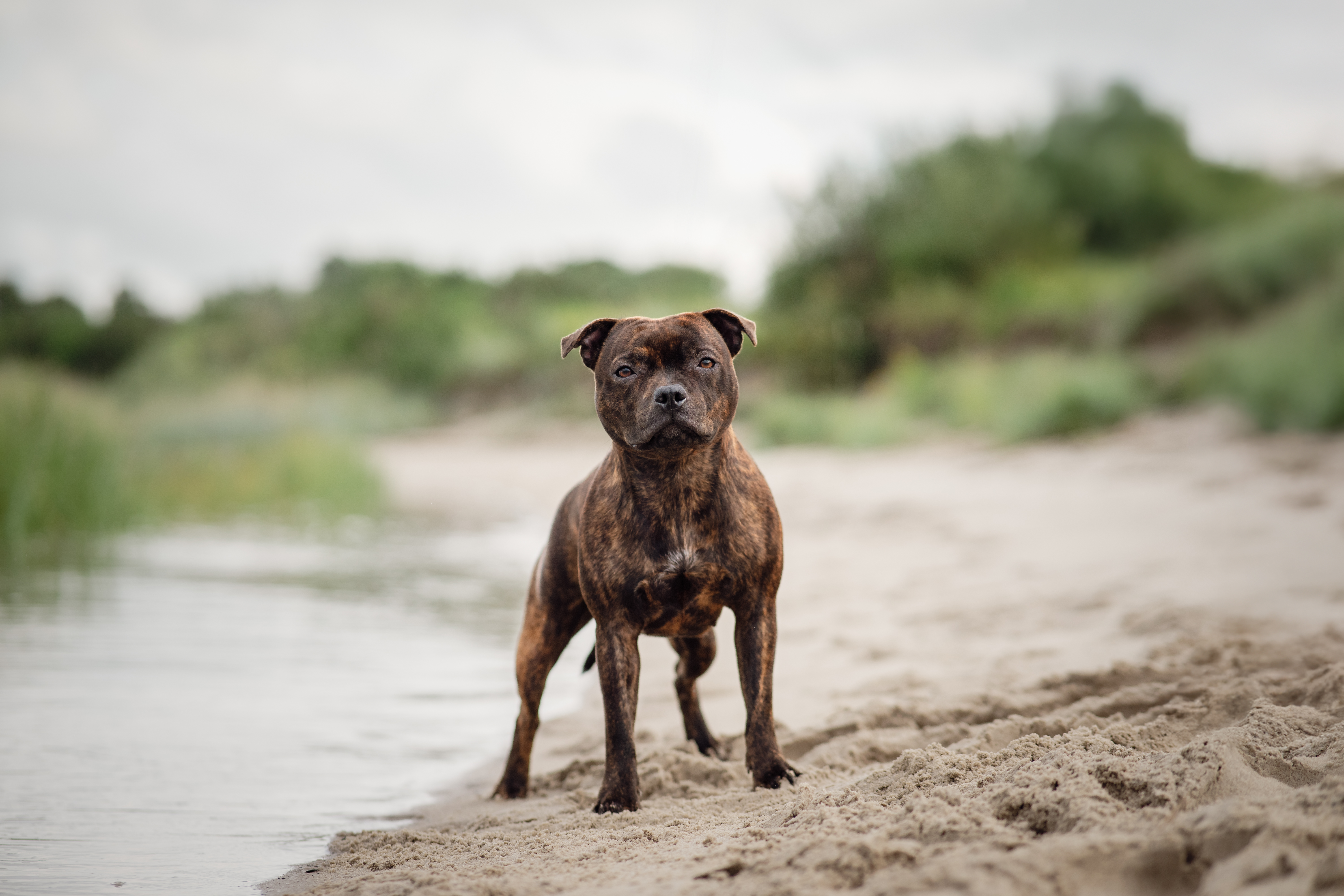 Ria / Willusa's Dreadnought Hellfire Ria