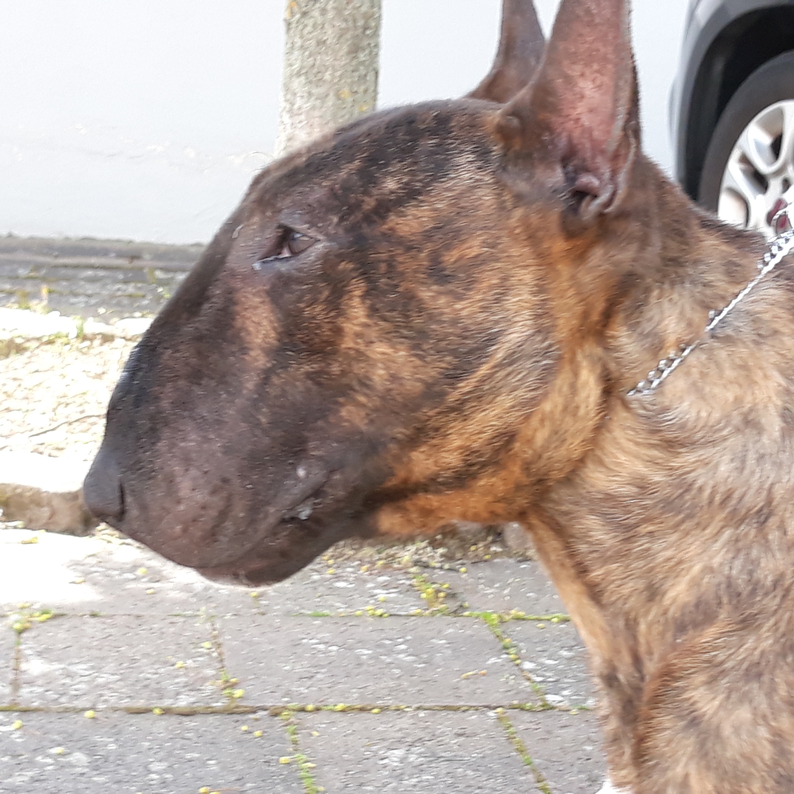 Undertaker`s Touch My Soul