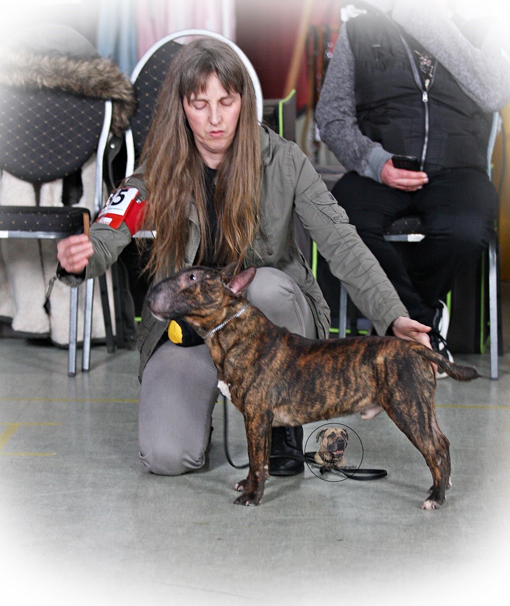 Undertaker`s Touch My Soul