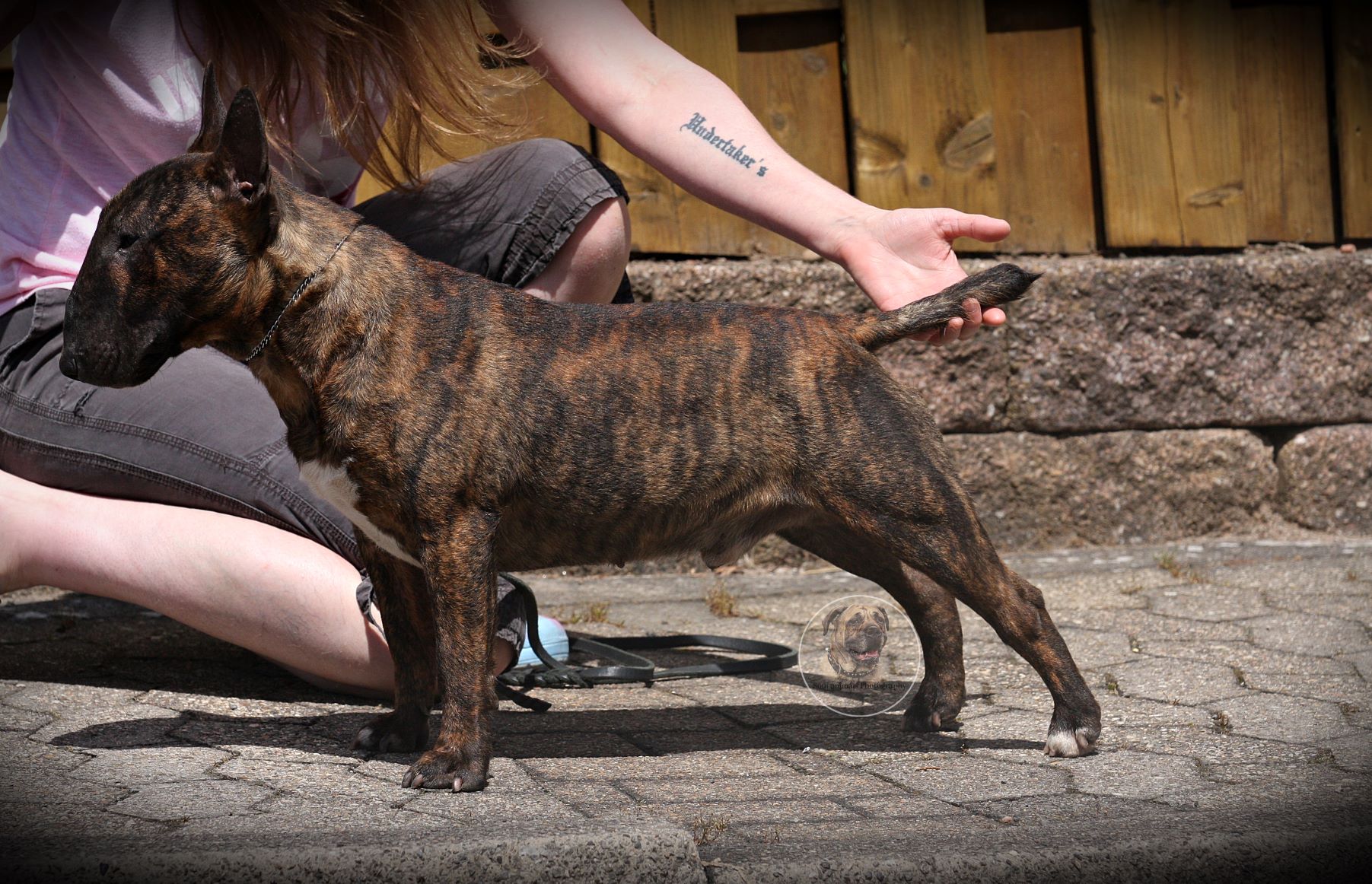 Undertaker`s Touch My Soul