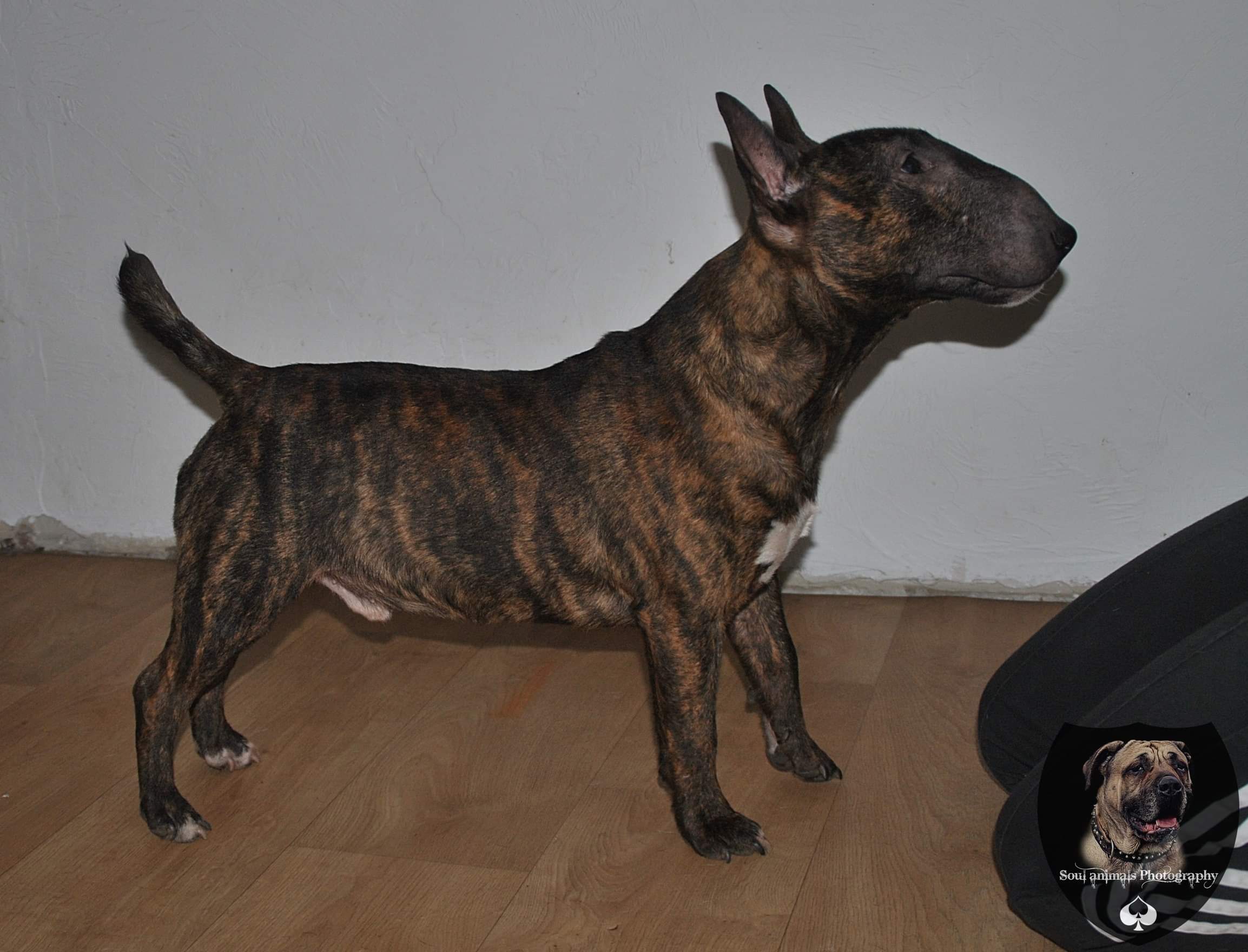 Undertaker`s Touch My Soul