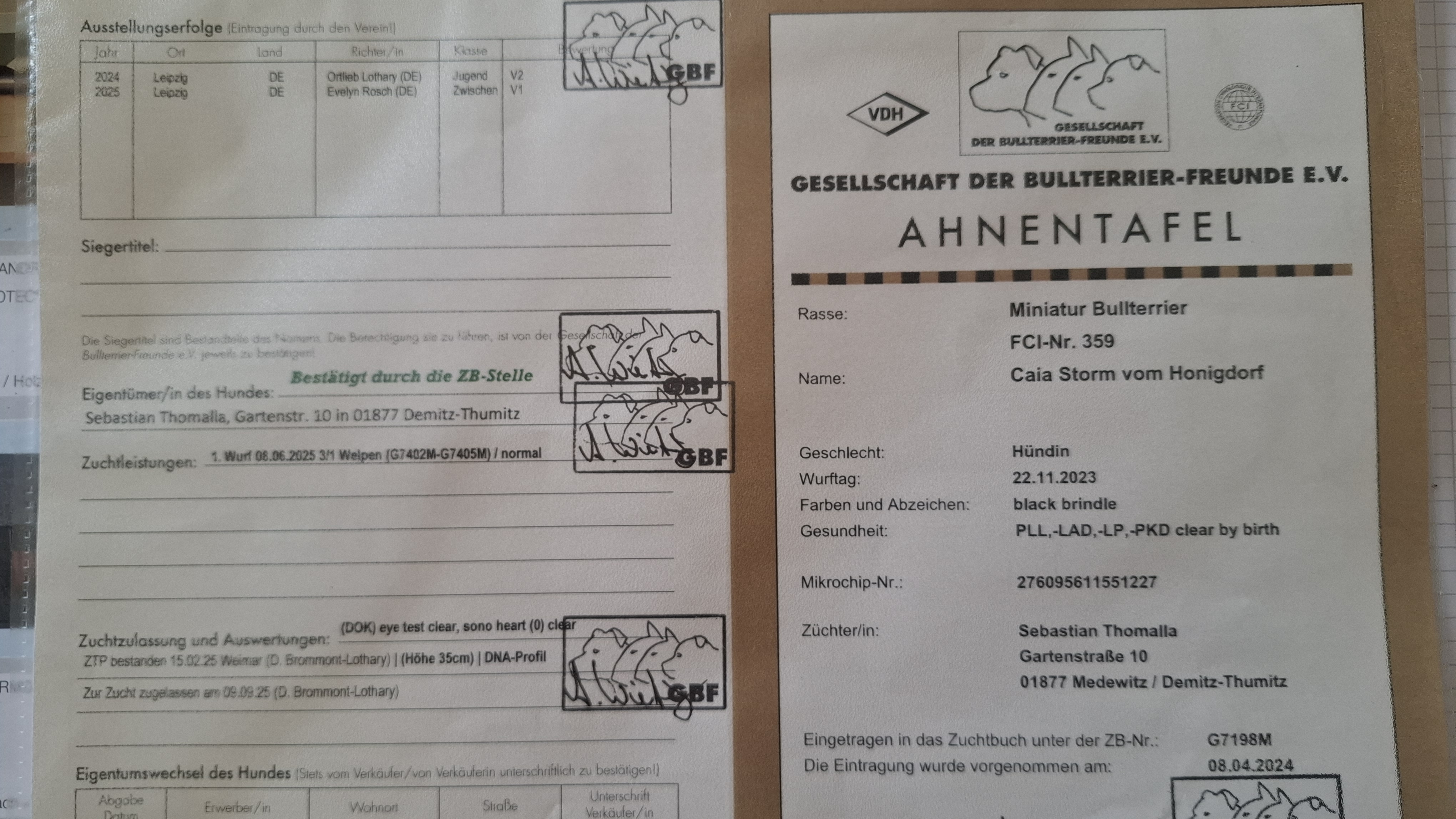 Stammbaum Seite 1