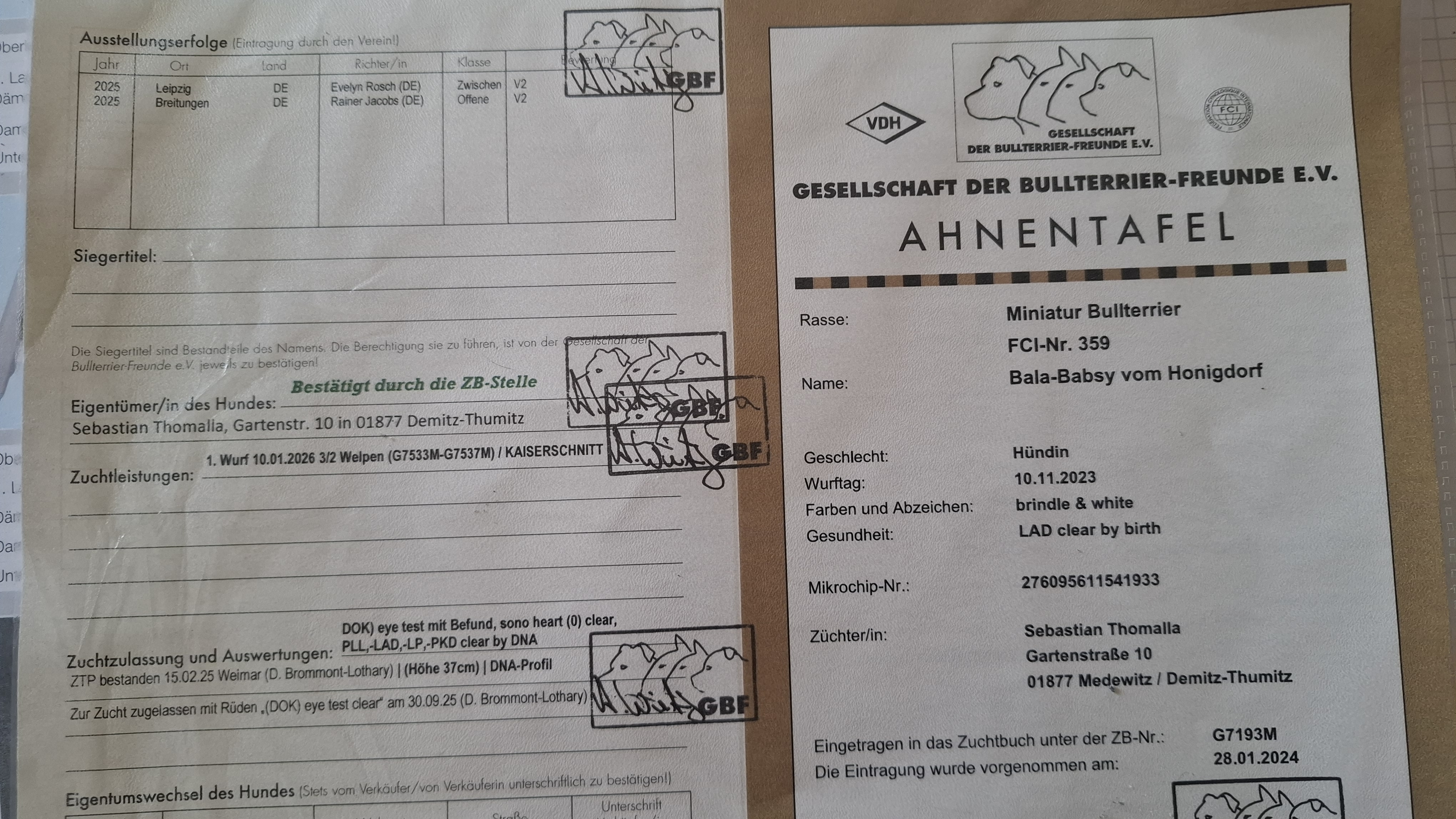 Stammbaum Seite 1