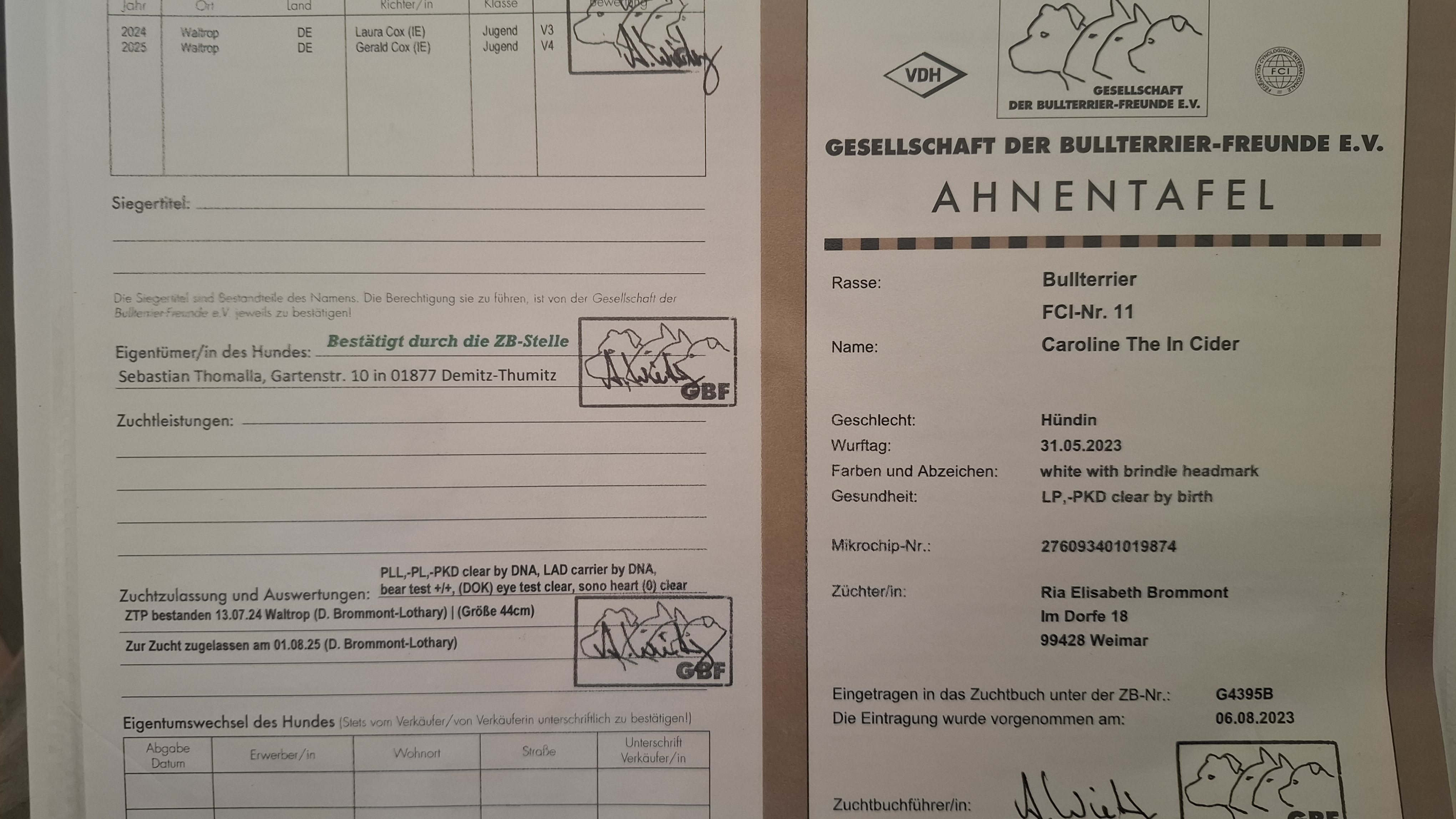 Stammbaum Seite 1